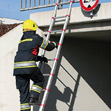 Telescopic Ladder